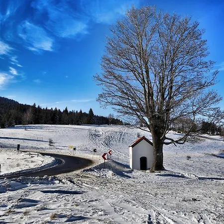 Apartmán Czarna Gora Rowery, Spa, Narty, Gory Sienna (Klodzko)